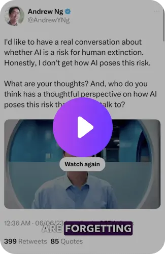 The Risks from AI